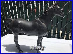 1930's HUBLEY Cast Iron Black Beauty Throughbred Horse Original Paint A-1 1930's HUBLEY Cast Iron Black Beauty Throughbred Horse Original Paint A-1