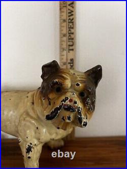 1930's Hubley / BULLDOG Standing Cast Iron Doorstop 220 Original Paint