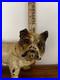 1930_s_Hubley_BULLDOG_Standing_Cast_Iron_Doorstop_220_Original_Paint_01_vj