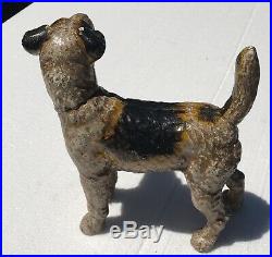 20th C Antique Hubley Wire Hair Fox Terrier Cast Iron Doorstop / Coin Bank