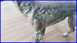 ANTIQUE Cast Iron European Lurcher Saluki Dog Hubley Style Door Stop REALLY NICE