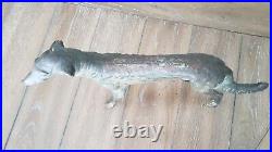 ANTIQUE Cast Iron European Lurcher Saluki Dog Hubley Style Door Stop REALLY NICE