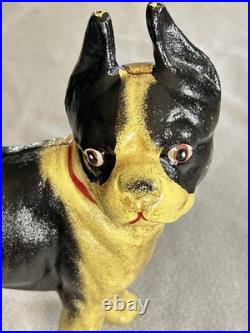 Antique 1916 Hubley Cast Iron Boston Terrier Door Stop Bank Facing Right 10