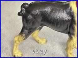 Antique 1916 Hubley Cast Iron Boston Terrier Door Stop Bank Facing Right 10