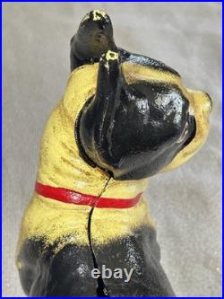 Antique 1916 Hubley Cast Iron Boston Terrier Door Stop Bank Facing Right 10