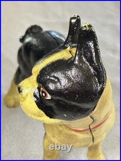 Antique 1916 Hubley Cast Iron Boston Terrier Door Stop Bank Facing Right 10
