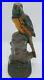 Antique_1920_s_Painted_PARROT_Bird_Cast_Iron_Doorstop_80_Albany_Foundry_USA_01_anrm