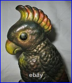 Antique # 85 Hubley Toy USA Cast Iron Parrot Bird Art Statue Sculpture Doorstop