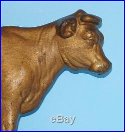 Antique Advertising Cow Cast Iron Figural Doorstop New Holland PA. Agricultural