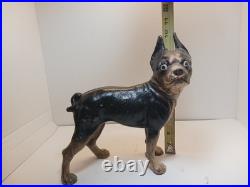 Antique BOSTON TERRIER Bulldog Cast Iron Dog DOORSTOP Vintage