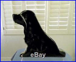 Antique Black & White Springer Spaniel Dog Cast Iron Doorstoprarer Than Hubley