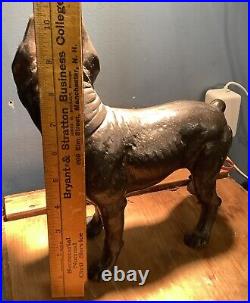 Antique Cast Iron Boston Terrier Bulldog Doorstop 10 Hubley Stamped 14P