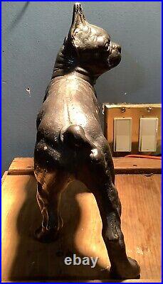 Antique Cast Iron Boston Terrier Bulldog Doorstop 10 Hubley Stamped 14P