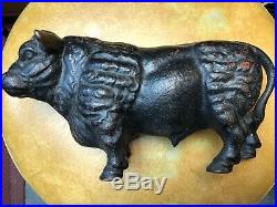 Antique Cast Iron Polled Bull Cow Ox Bank Doorstop Heavy 7.1 Lbs 11 L Disbudded
