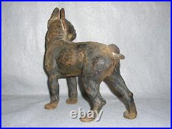 Antique Dog Doorstop Hubley Cast Iron Boston Bull Terrier Flat Head Screws 1920s