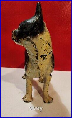 Antique HUBLEY Cast Iron Boston Terrier Nice Original Paint 8 3/4 Tall