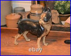 Antique Hubley Black Brown & Cream Cast Iron Boston Terrier Dog Statue Doorstop