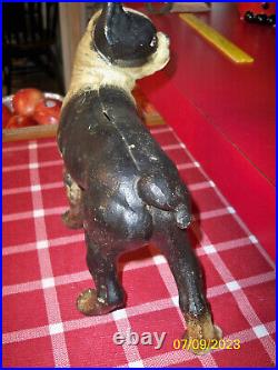 Antique Hubley Boston Bull Terrier Doorstop/Bank Cast Iron Original Paint