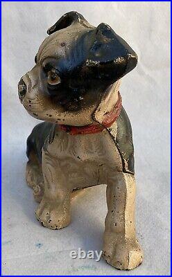 Antique Hubley Cast Iron Boston Terrier Puppy Dog Still Coin Bank Doorstop 826
