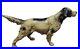 Antique_Hubley_English_Setter_Hunting_Pointer_Bird_Dog_Cast_Iron_Doorstop_01_yvak
