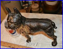 Antique Hubley Gem Rarer Left Facing Boston Bull Terrier Cast Iron Door Stop