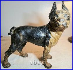 Antique Original Heavy Cast Iron Boston Terrier Shaped Bulldog Doorstop 8 Lbs
