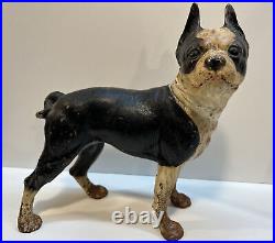 Antique Right Facing 10 8 Lbs. Hubley Lg. Boston Terrier Cast Iron Dog Doorstop