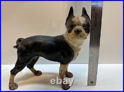 Antique Right Facing 10 8 Lbs. Hubley Lg. Boston Terrier Cast Iron Dog Doorstop