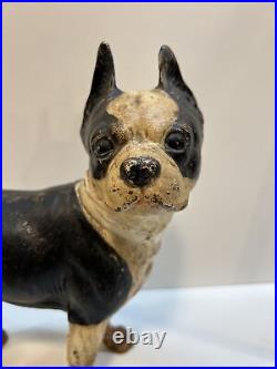 Antique Right Facing 10 8 Lbs. Hubley Lg. Boston Terrier Cast Iron Dog Doorstop