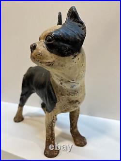 Antique Right Facing 10 8 Lbs. Hubley Lg. Boston Terrier Cast Iron Dog Doorstop