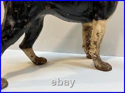 Antique Right Facing 10 8 Lbs. Hubley Lg. Boston Terrier Cast Iron Dog Doorstop