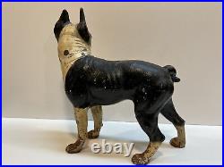 Antique Right Facing 10 8 Lbs. Hubley Lg. Boston Terrier Cast Iron Dog Doorstop