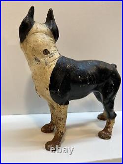 Antique Right Facing 10 8 Lbs. Hubley Lg. Boston Terrier Cast Iron Dog Doorstop