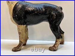 Antique Right Facing 10 8 Lbs. Hubley Lg. Boston Terrier Cast Iron Dog Doorstop