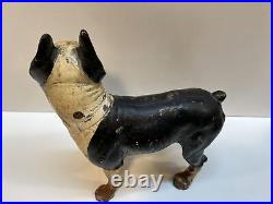 Antique Right Facing 10 8 Lbs. Hubley Lg. Boston Terrier Cast Iron Dog Doorstop