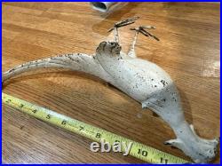 Antique Solid Cast Iron Bird Pheasant Statue Doorstop Garden Decor