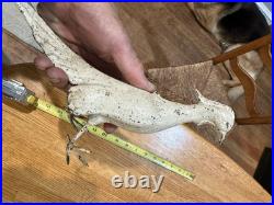 Antique Solid Cast Iron Bird Pheasant Statue Doorstop Garden Decor
