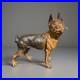 Antique_Vintage_Doorstop_Cast_Iron_Boston_Terrier_Bull_Dog_10_01_vb