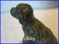 Antique cast iron dog statue doorstop Golden Retriever Portuguese Water dog look