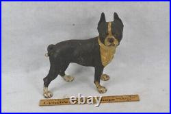 Antique door stop cast iron Boston Terrier 10 tall old paint 1920 original best Antique door stop cast iron Boston Terrier 10 tall old paint 1920 original best