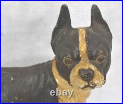 Antique door stop cast iron Boston Terrier 10 tall old paint 1920 original best Antique door stop cast iron Boston Terrier 10 tall old paint 1920 original best