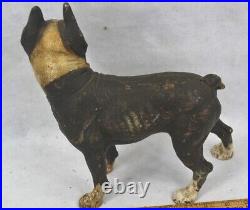Antique door stop cast iron Boston Terrier 10 tall old paint 1920 original best Antique door stop cast iron Boston Terrier 10 tall old paint 1920 original best
