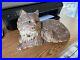 Authentic_original_cast_iron_lounging_fireside_cat_doorstop_signed_Hubley_335_01_pu