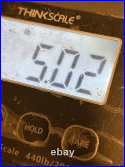 Boy Carrying Fruit Basket Antique Cast Iron Door Stop Unmarked 9x4RARE