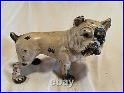 Cast Iron Bulldog Doorstop (307)