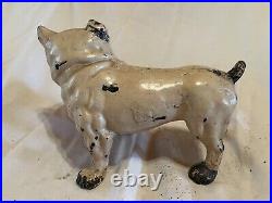 Cast Iron Bulldog Doorstop (307)