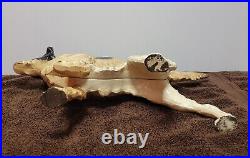 Cast Iron Pointer Dog Doorstop c. 1910-1940 Door Stop Antique Vintage Hubley