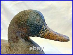 Heavy Cast Iron Vtg Sink Box Duck Decoy Statue Art Doorstop Mallard 21 + Lbs