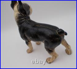 Hubley Cast Iron 10 Boston Terrier Dog Door Stop 8 Lb 6 Oz