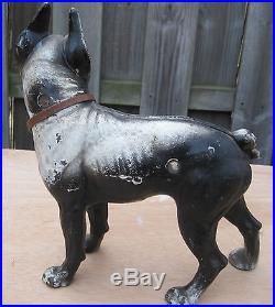 Hubley Dog Boston Terrier Cast Iron Door Stop Rare Collar Original Paint 10